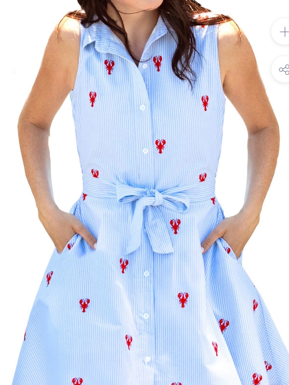 New Kiel James Patrick Light Blue Pinstripe Midi Dress, Red Lobster Embroidery